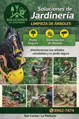 Spanish gardening services flyer showing tree cleaning and pruning with workers using safety equipment and chainsaws